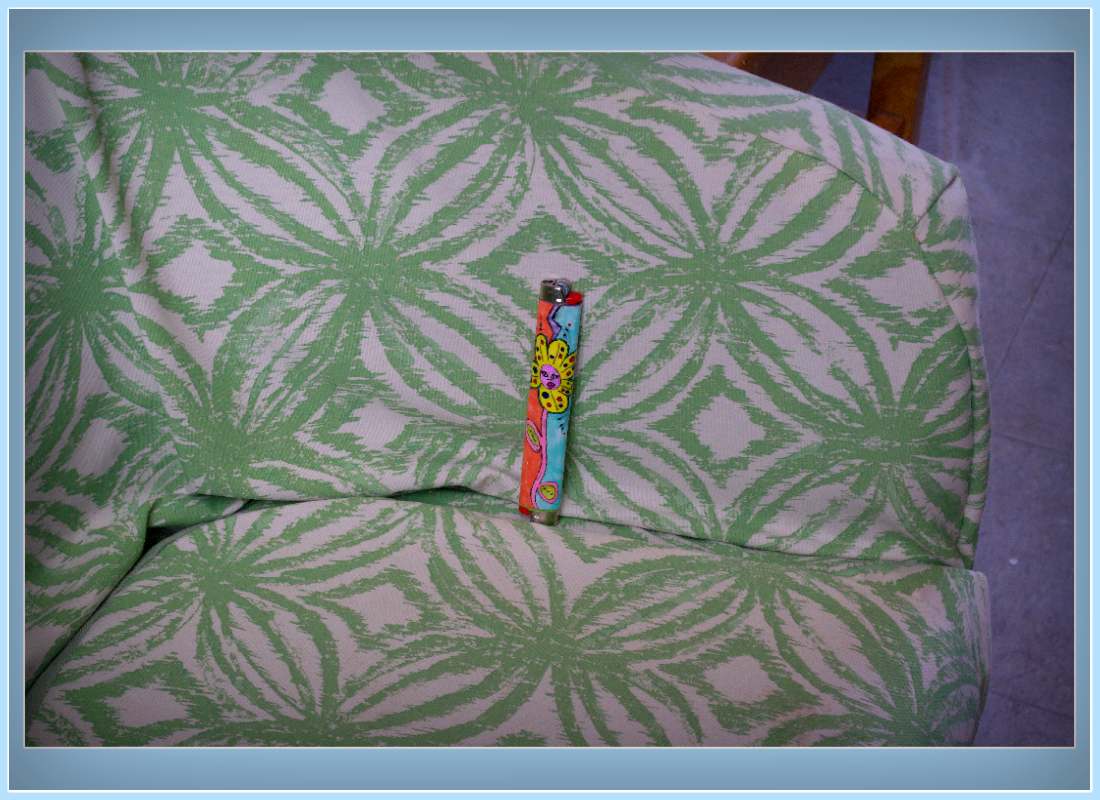 Feel 𝘍𝘭𝘰𝘸𝘦𝘳 ⬅︎ ⬅︎ ⬅︎