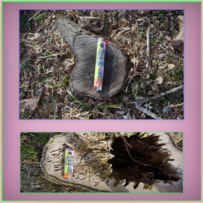 𝘙𝘢𝘪𝘴𝘦 𝘵𝘩𝘦 𝘕𝘶𝘵 😠