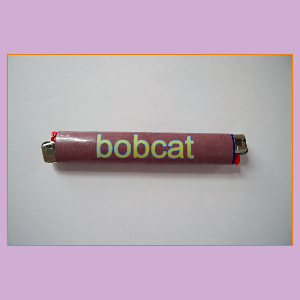 bobcat