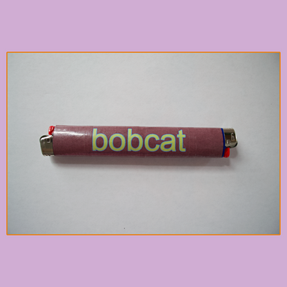 bobcat